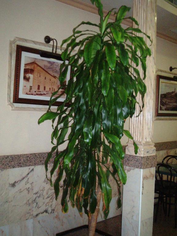 Hotel Los Hermanos Ocaña Kültér fotó